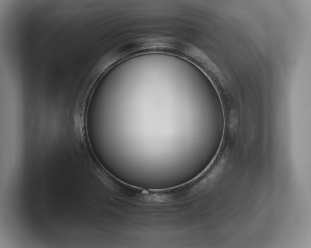 X0000102391321200808081219