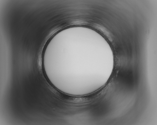 X0000102391322200808081219