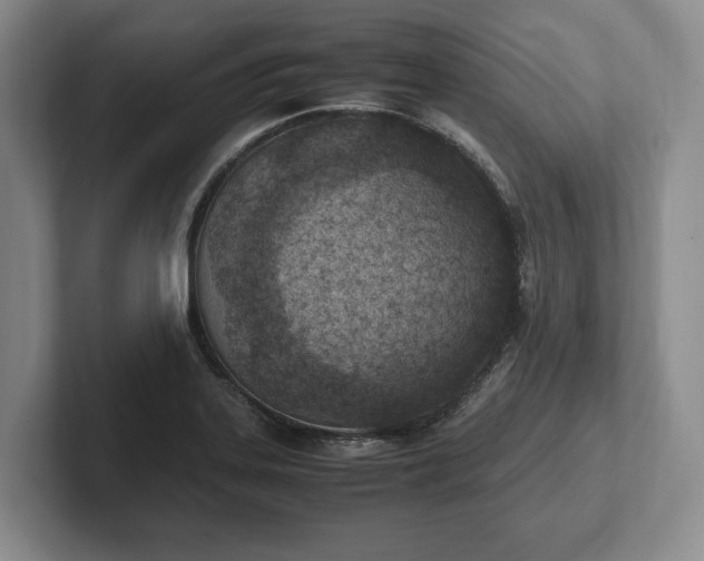 X0000102391323200808081219