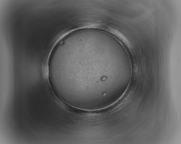 X0000102391324200808081219