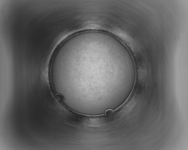 X0000102391326200808081219