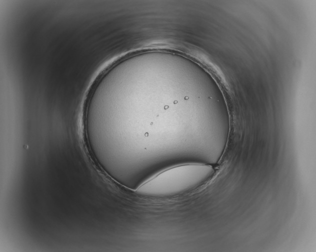 X0000102391328200808081219