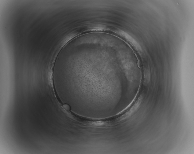 X0000102391329200808081219