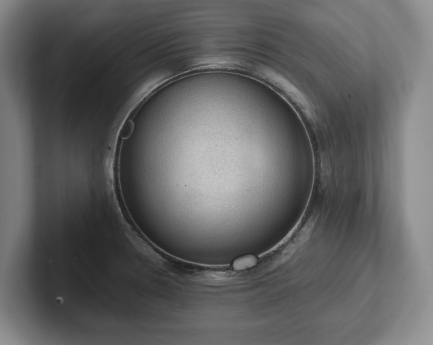 X0000102391330200808081219