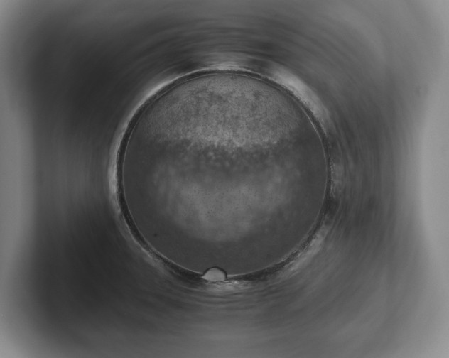 X0000102391331200808081219