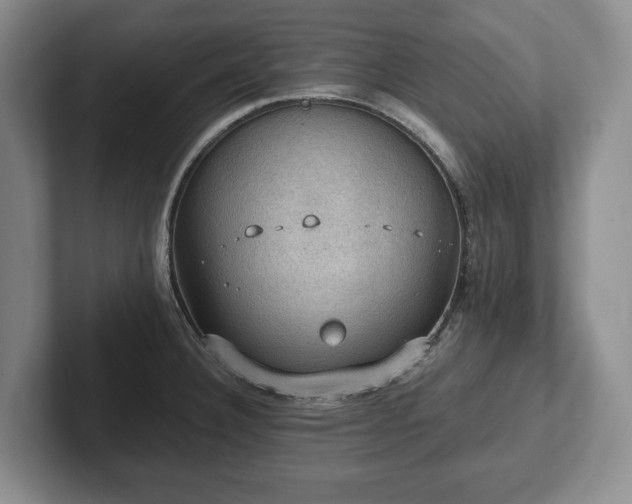 X0000102391332200808081219