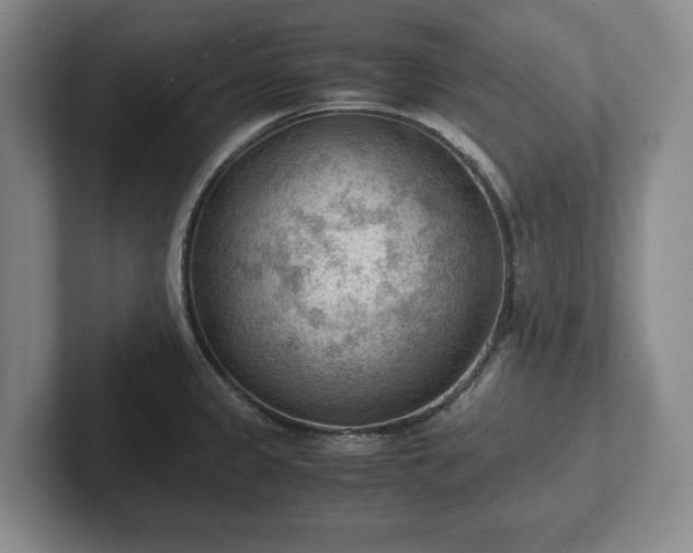 X0000102391333200808081219