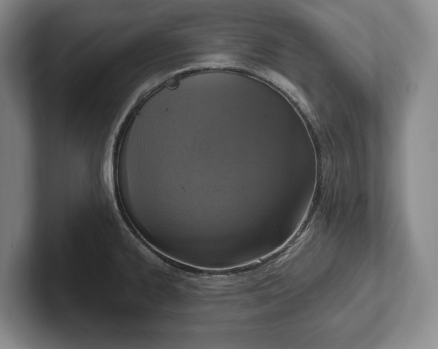 X0000102391334200808081219