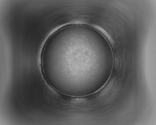 X0000102391335200808081219