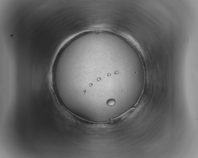 X0000102391336200808081219