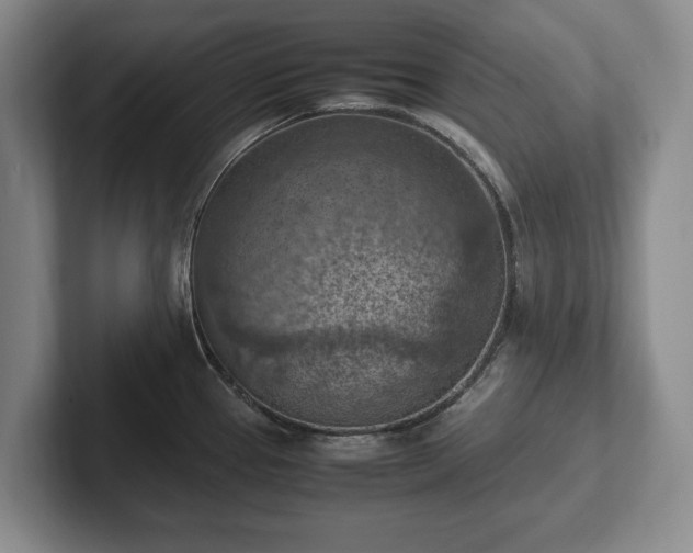 X0000102391337200808081219