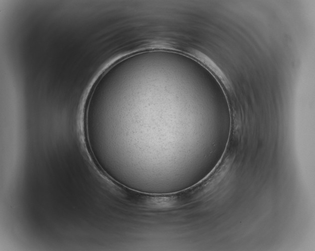 X0000102391339200808081219