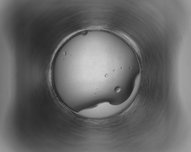 X0000102391340200808081219