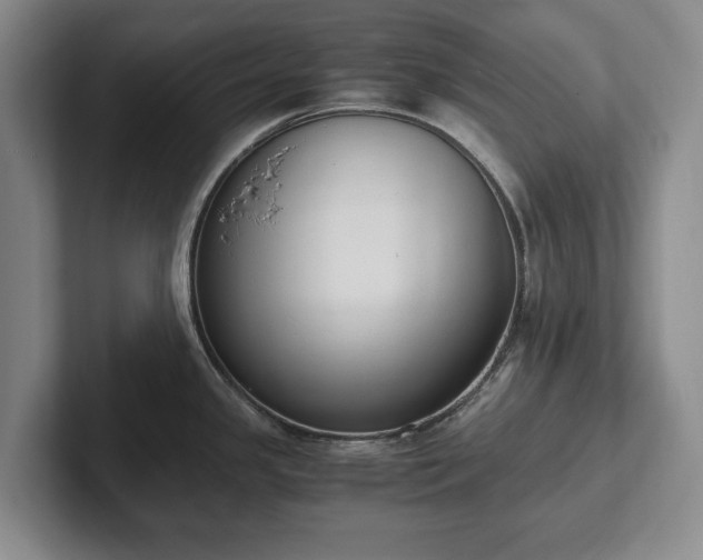 X0000102391341200808081219