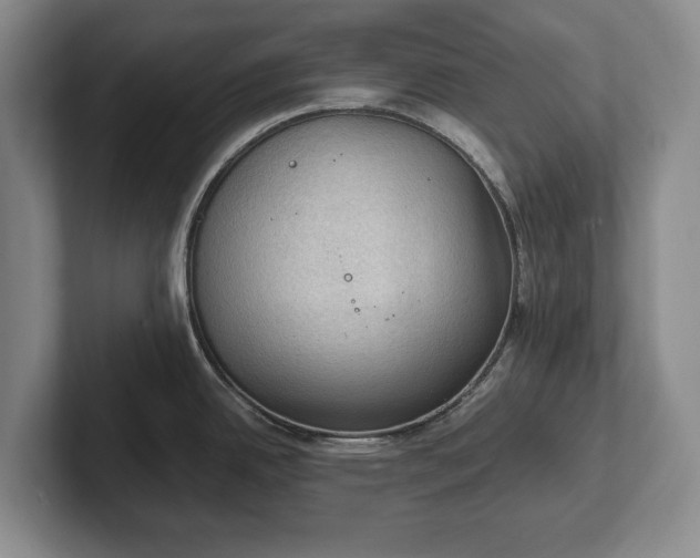 X0000102391342200808081219