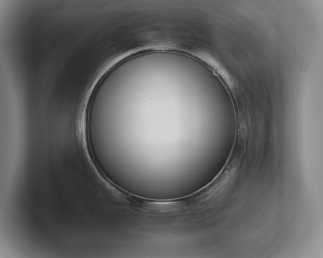 X0000102391343200808081219