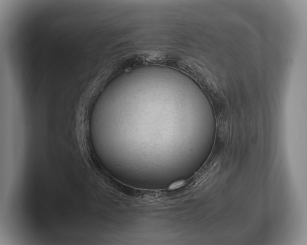 X0000102391345200808081219