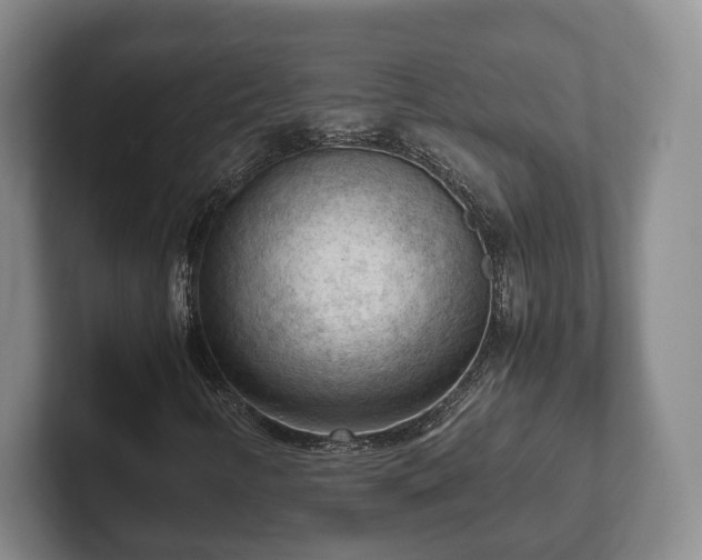 X0000102391346200808081219