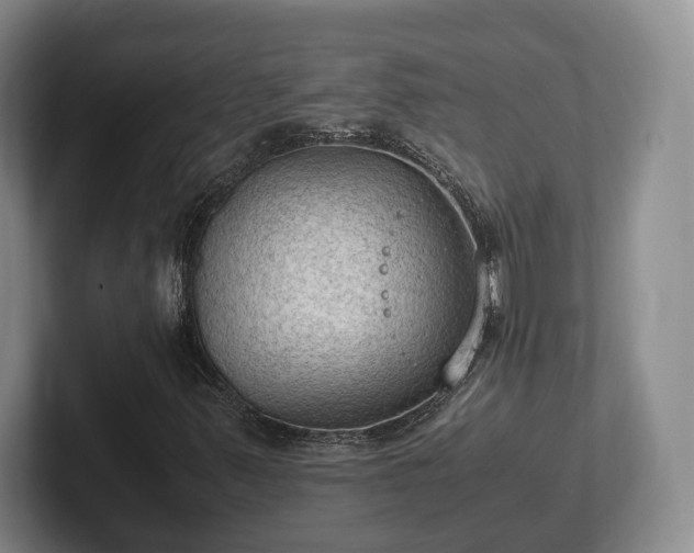 X0000102391347200808081219