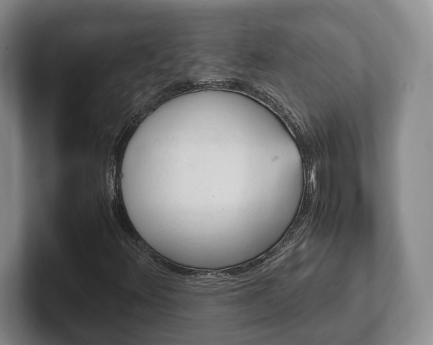 X0000102391348200808081219