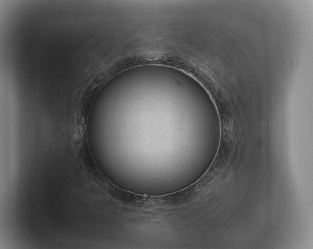 X0000102391349200808081219