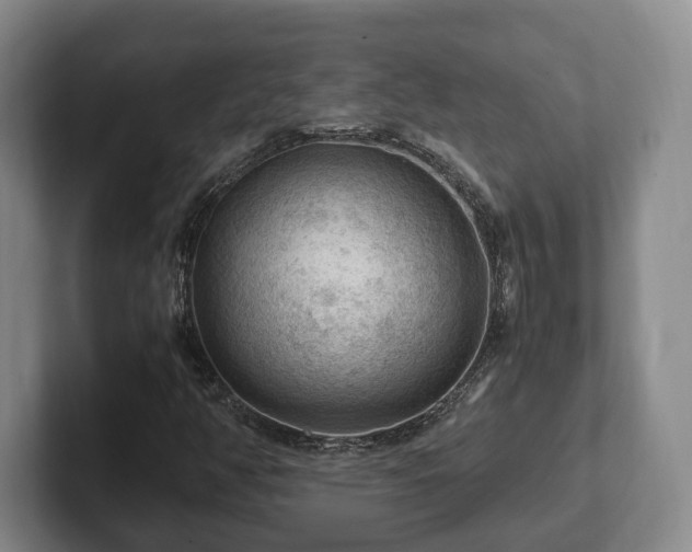 X0000102391350200808081219