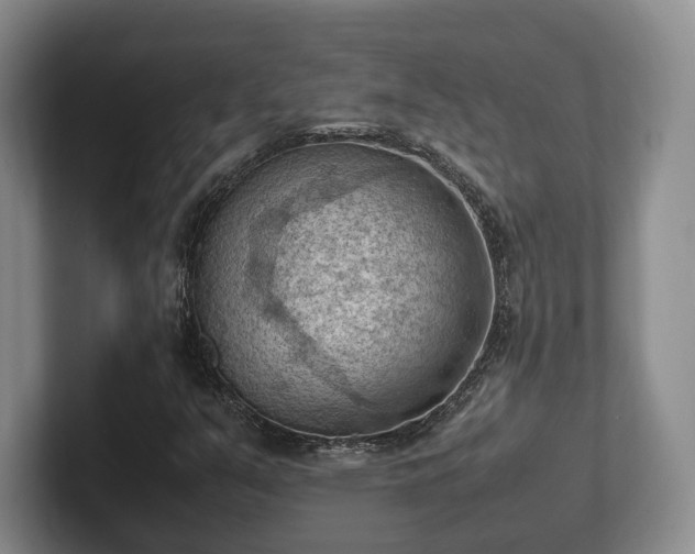 X0000102391351200808081219