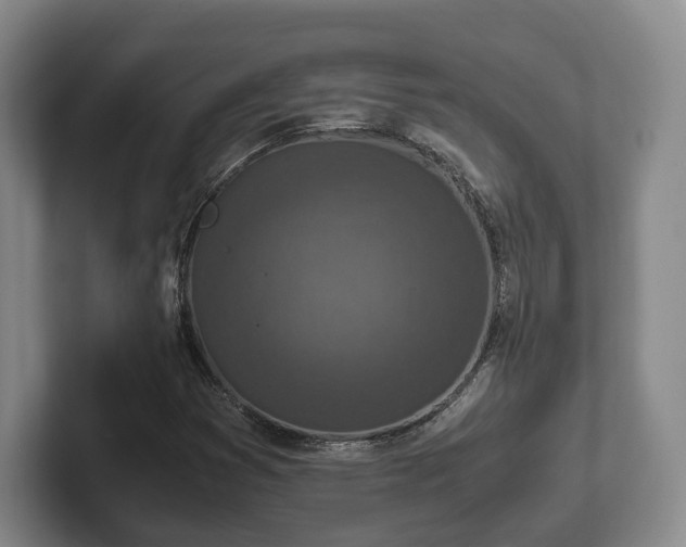 X0000102391353200808081219