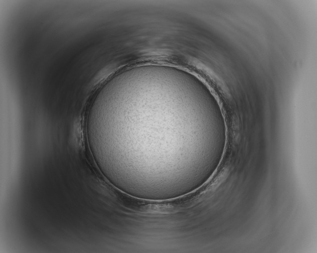 X0000102391354200808081219