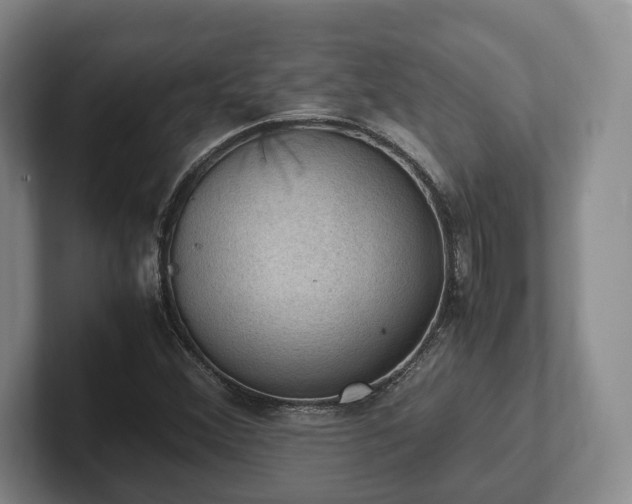 X0000102391356200808081219