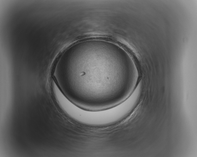 X0000102391357200808081219