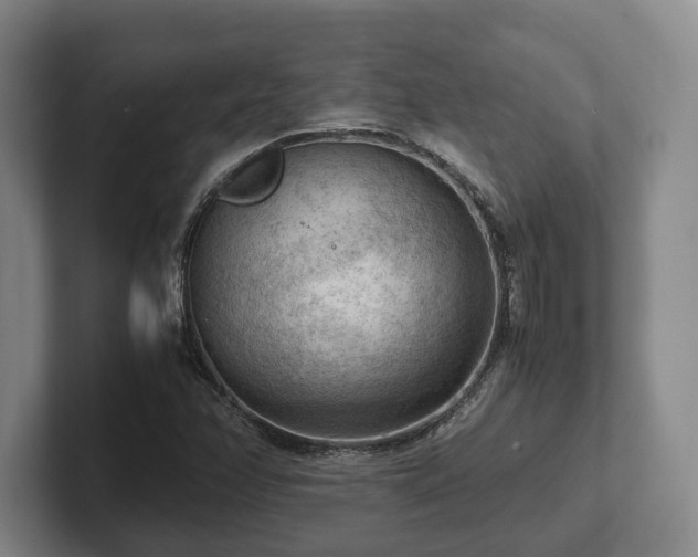 X0000102391358200808081219