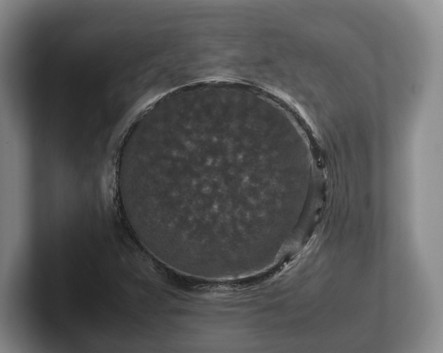 X0000102391359200808081219