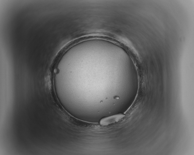 X0000102391360200808081219