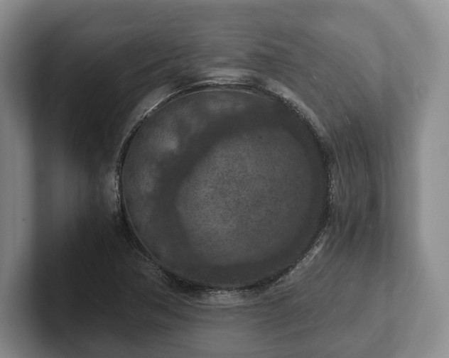 X0000102391362200808081219