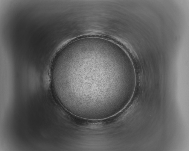 X0000102391363200808081219