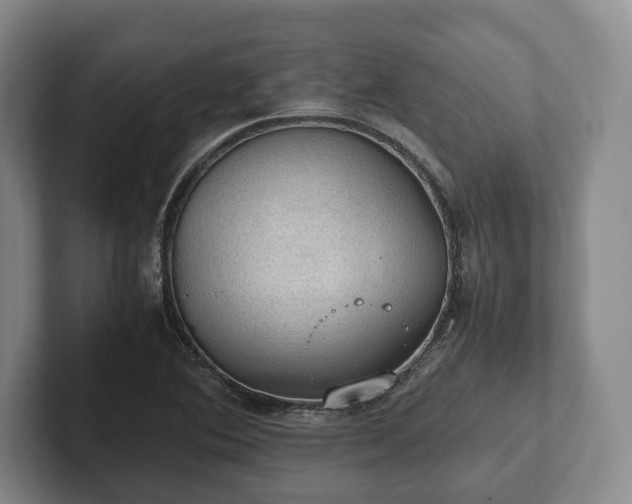 X0000102391364200808081219