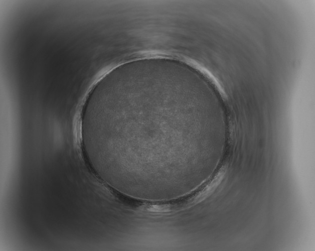 X0000102391365200808081219