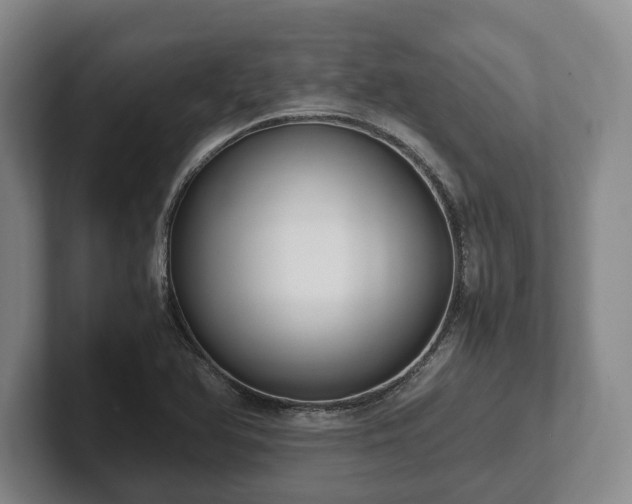 X0000102391366200808081219