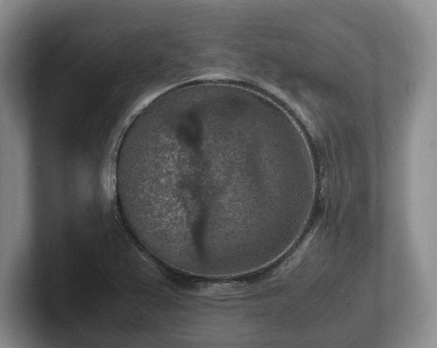 X0000102391367200808081218