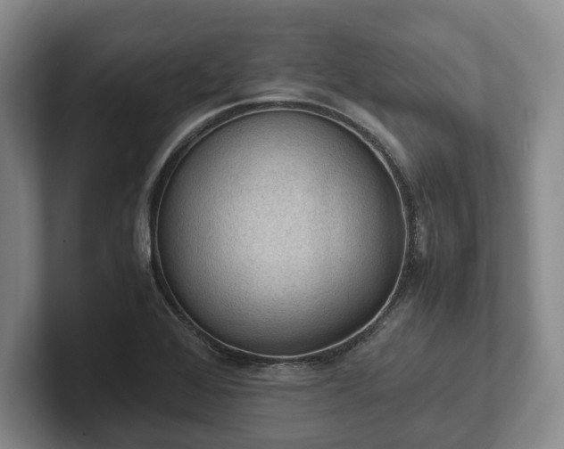 X0000102391368200808081218