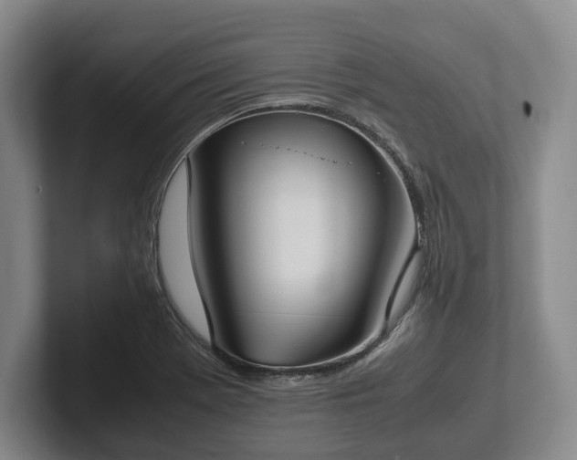 X0000102391369200808081218