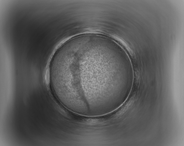 X0000102391371200808081218