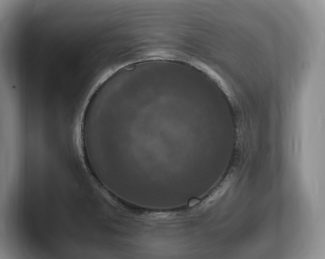 X0000102391373200808081218