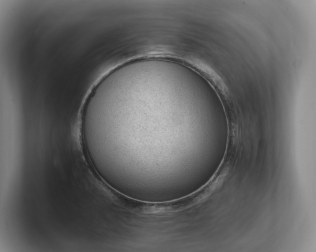 X0000102391374200808081218