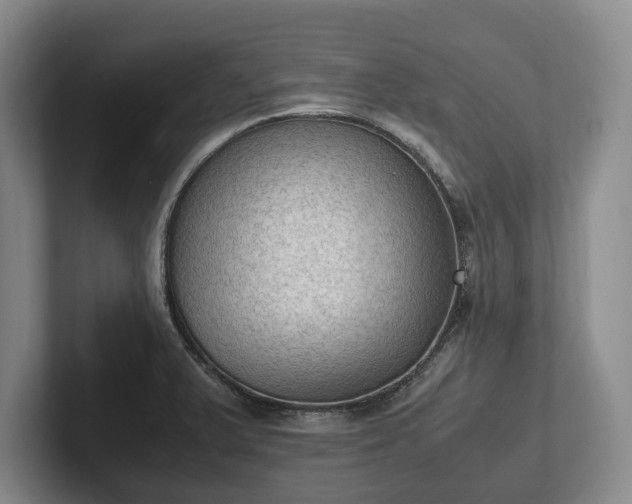 X0000102391375200808081218