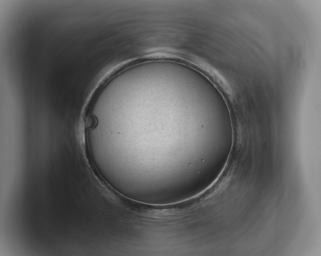 X0000102391376200808081218