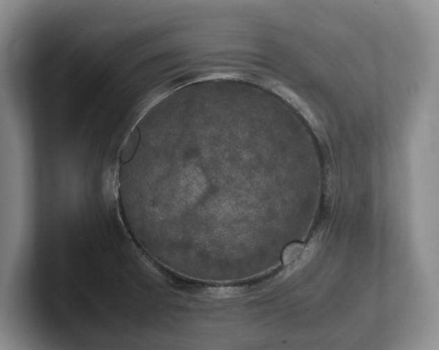 X0000102391377200808081218