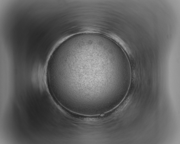 X0000102391379200808081218