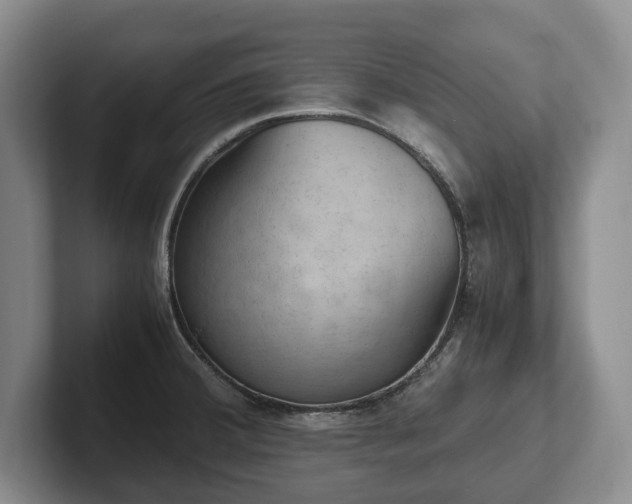 X0000102391380200808081218